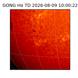 gong - 2026-08-09T10:00:22