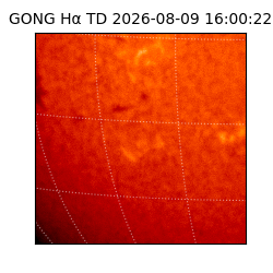 gong - 2026-08-09T16:00:22