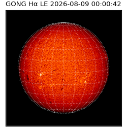 gong - 2026-08-09T00:00:42
