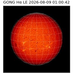 gong - 2026-08-09T01:00:42