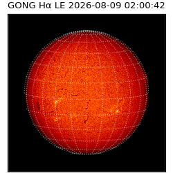 gong - 2026-08-09T02:00:42