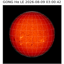 gong - 2026-08-09T03:00:42