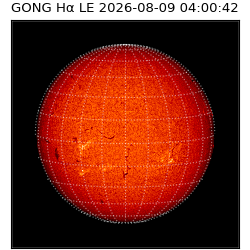 gong - 2026-08-09T04:00:42
