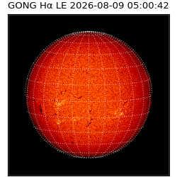 gong - 2026-08-09T05:00:42