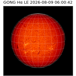 gong - 2026-08-09T06:00:42