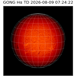 gong - 2026-08-09T07:24:22