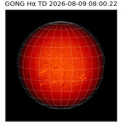 gong - 2026-08-09T08:00:22