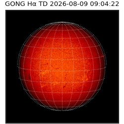 gong - 2026-08-09T09:04:22