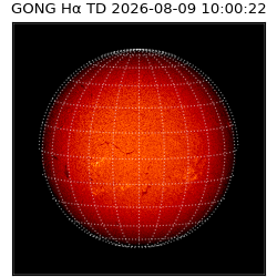 gong - 2026-08-09T10:00:22