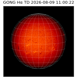gong - 2026-08-09T11:00:22