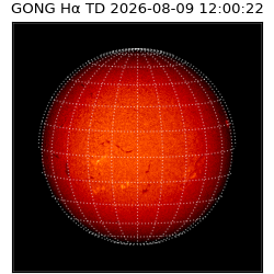 gong - 2026-08-09T12:00:22
