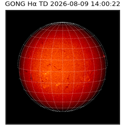 gong - 2026-08-09T14:00:22