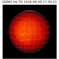 gong - 2026-08-09T17:00:22