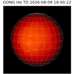 gong - 2026-08-09T18:00:22
