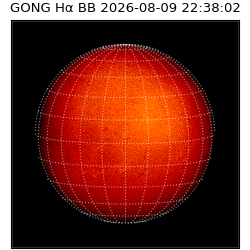 gong - 2026-08-09T22:38:02