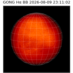 gong - 2026-08-09T23:11:02