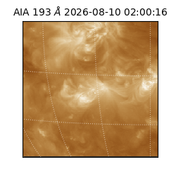 saia - 2026-08-10T02:00:16.842000