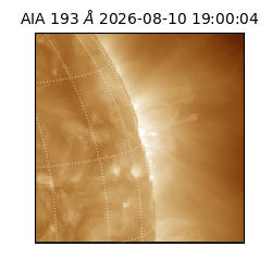saia - 2026-08-10T19:00:04.842000