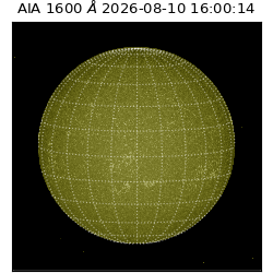 saia - 2026-08-10T16:00:14.130000