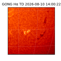 gong - 2026-08-10T14:00:22