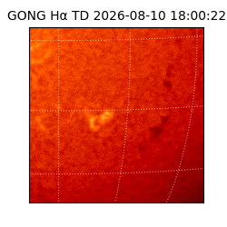 gong - 2026-08-10T18:00:22