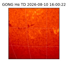 gong - 2026-08-10T16:00:22