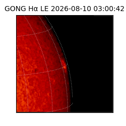 gong - 2026-08-10T03:00:42