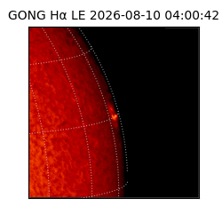 gong - 2026-08-10T04:00:42