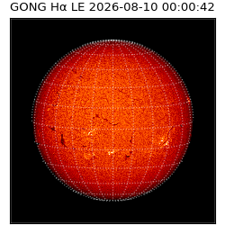 gong - 2026-08-10T00:00:42