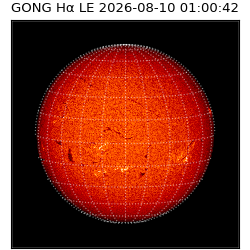gong - 2026-08-10T01:00:42
