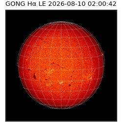 gong - 2026-08-10T02:00:42