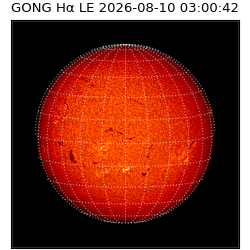 gong - 2026-08-10T03:00:42