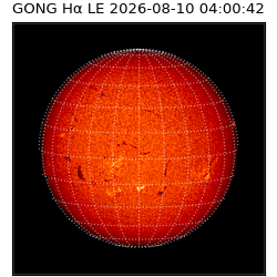gong - 2026-08-10T04:00:42