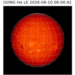 gong - 2026-08-10T06:00:42