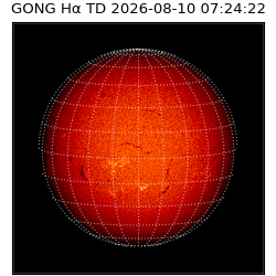 gong - 2026-08-10T07:24:22