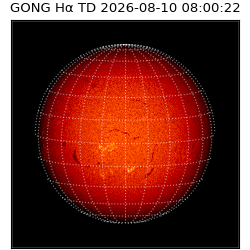 gong - 2026-08-10T08:00:22