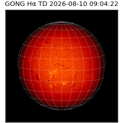 gong - 2026-08-10T09:04:22