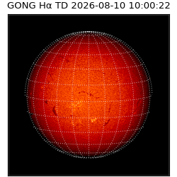 gong - 2026-08-10T10:00:22