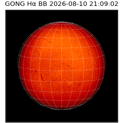 gong - 2026-08-10T21:09:02