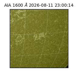 saia - 2026-08-11T23:00:14.124000
