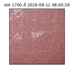 saia - 2026-08-11T08:00:28.716000