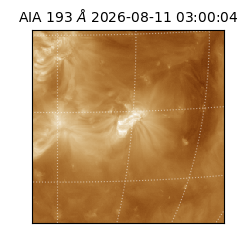 saia - 2026-08-11T03:00:04.842000