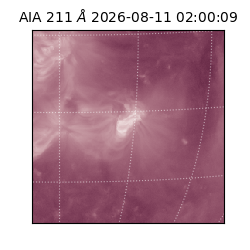 saia - 2026-08-11T02:00:09.624000