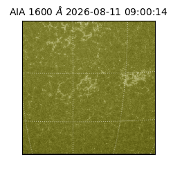 saia - 2026-08-11T09:00:14.123000