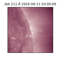 saia - 2026-08-11T03:00:09.638000