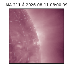 saia - 2026-08-11T08:00:09.630000