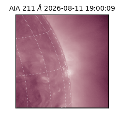 saia - 2026-08-11T19:00:09.630000