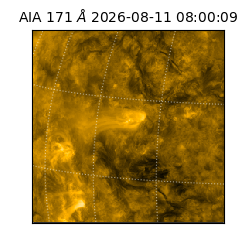 saia - 2026-08-11T08:00:09.351000