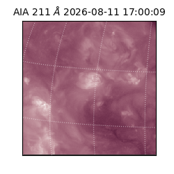 saia - 2026-08-11T17:00:09.621000