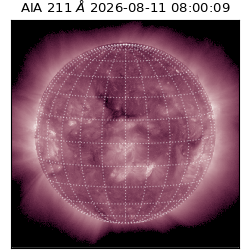 saia - 2026-08-11T08:00:09.630000